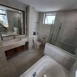 Twin Heights (D12), Apartment #502897121